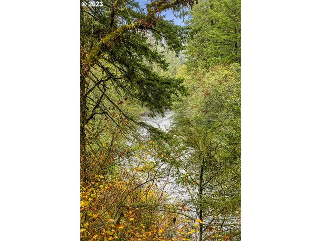 a view of lake from under an umbrella