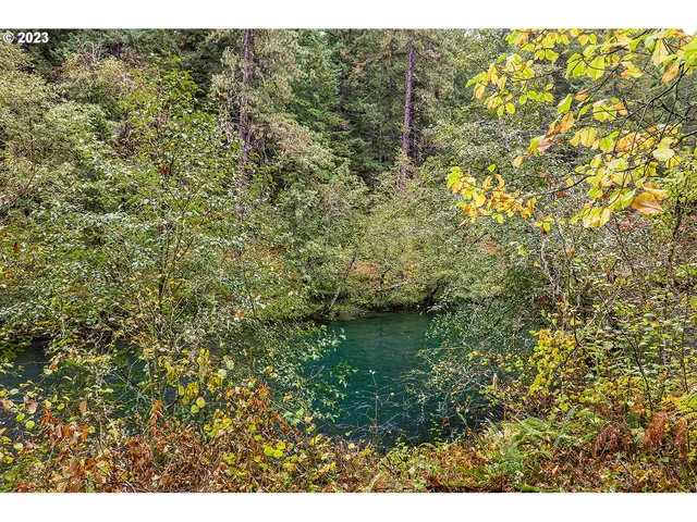 a view of swimming pool from a yard