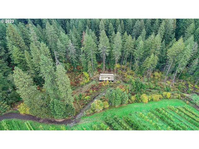 a open view of a green yard with houses