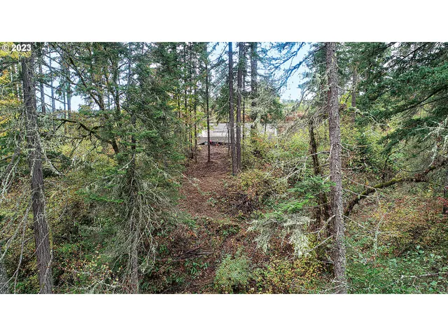 a black and white photo of a house