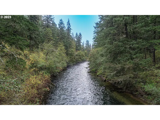 a open area with trees in the background
