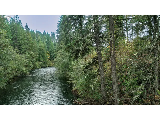 a open area of a house with a yard