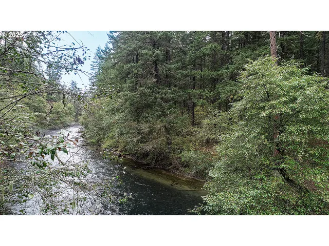 a view of a yard with plants and trees