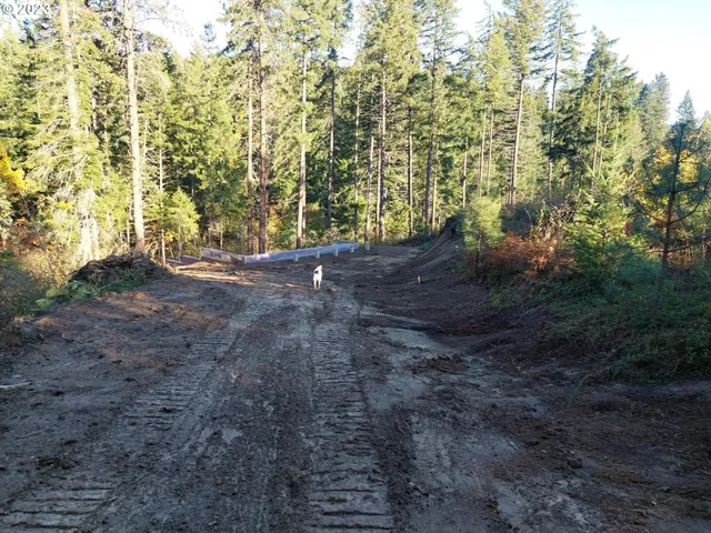 a view of a yard with trees