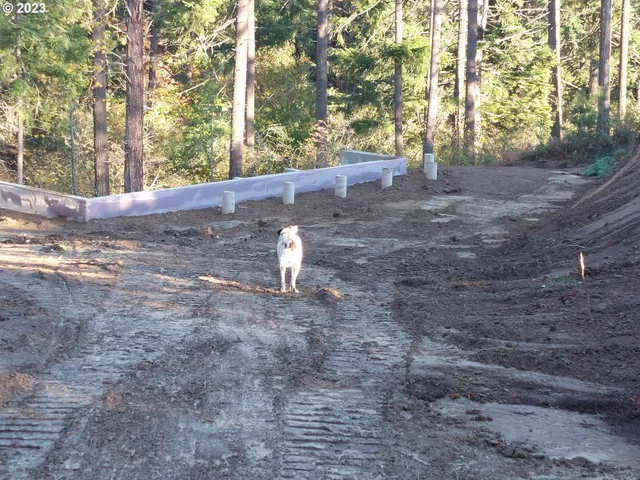 a view of a dry yard with wooden fence