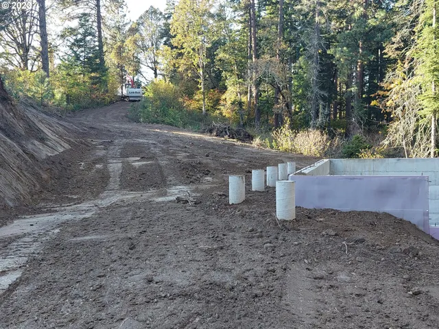 a view of a forest with trees in the background