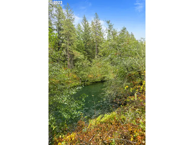 a view of a forest with a lake