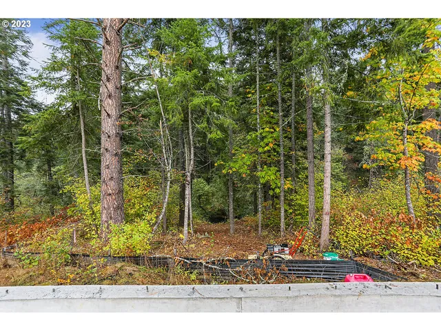 a view of a backyard