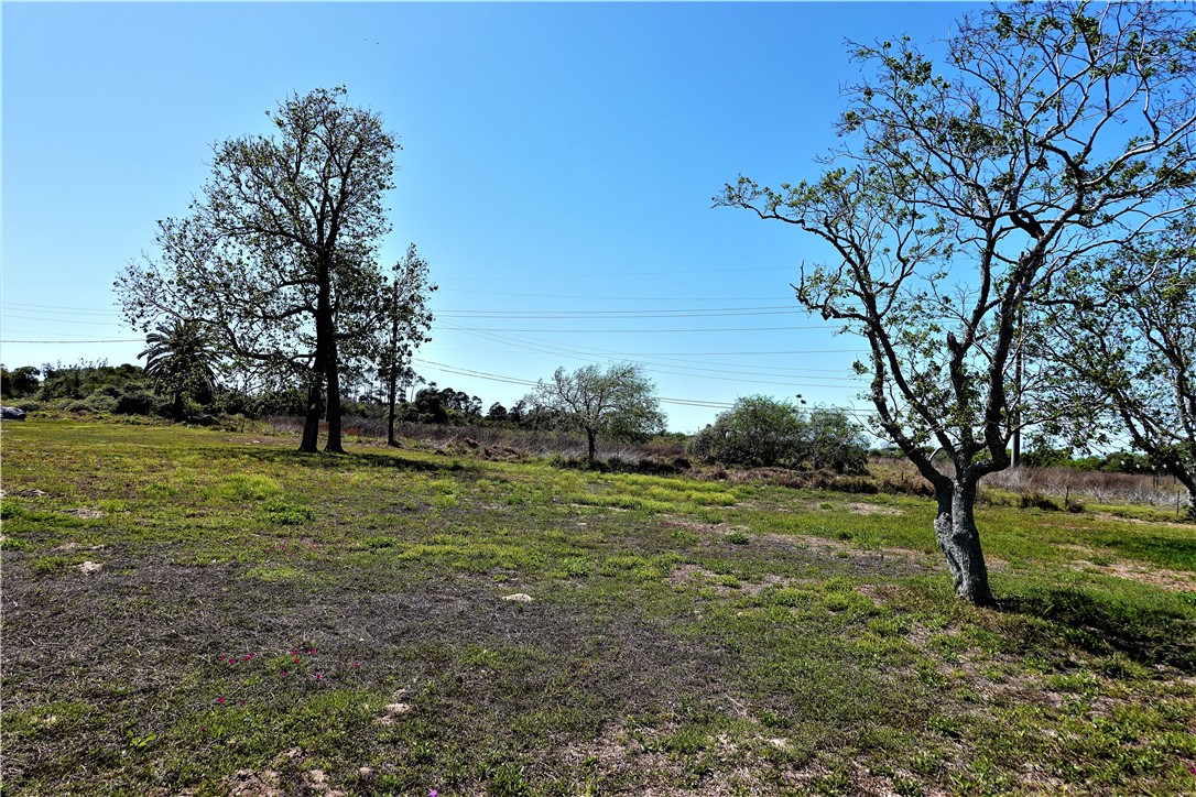 627 8th Street Ingleside, TX 78362 - Photo 4 of 14 a view of a field with large trees