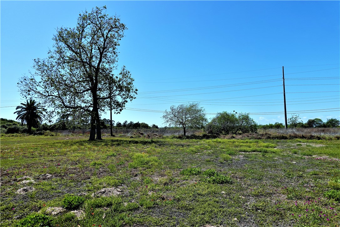 627 8th Street Ingleside, TX 78362 - Photo 10 of 14 a view of a grassy field with trees
