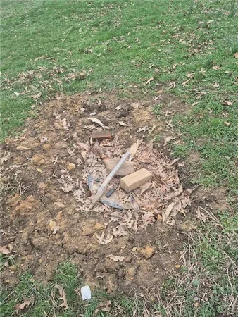 a view of a yard with a tree