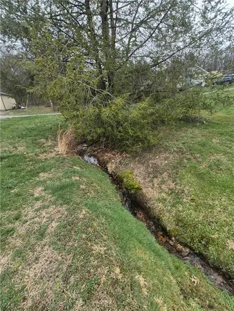 a big yard with lots of green space and deers