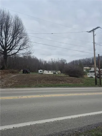 a view of a yard