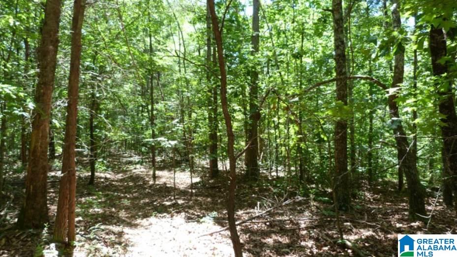 Indian Creek Road, Unit 26 Lineville, AL 36266 - Photo 2 of 4