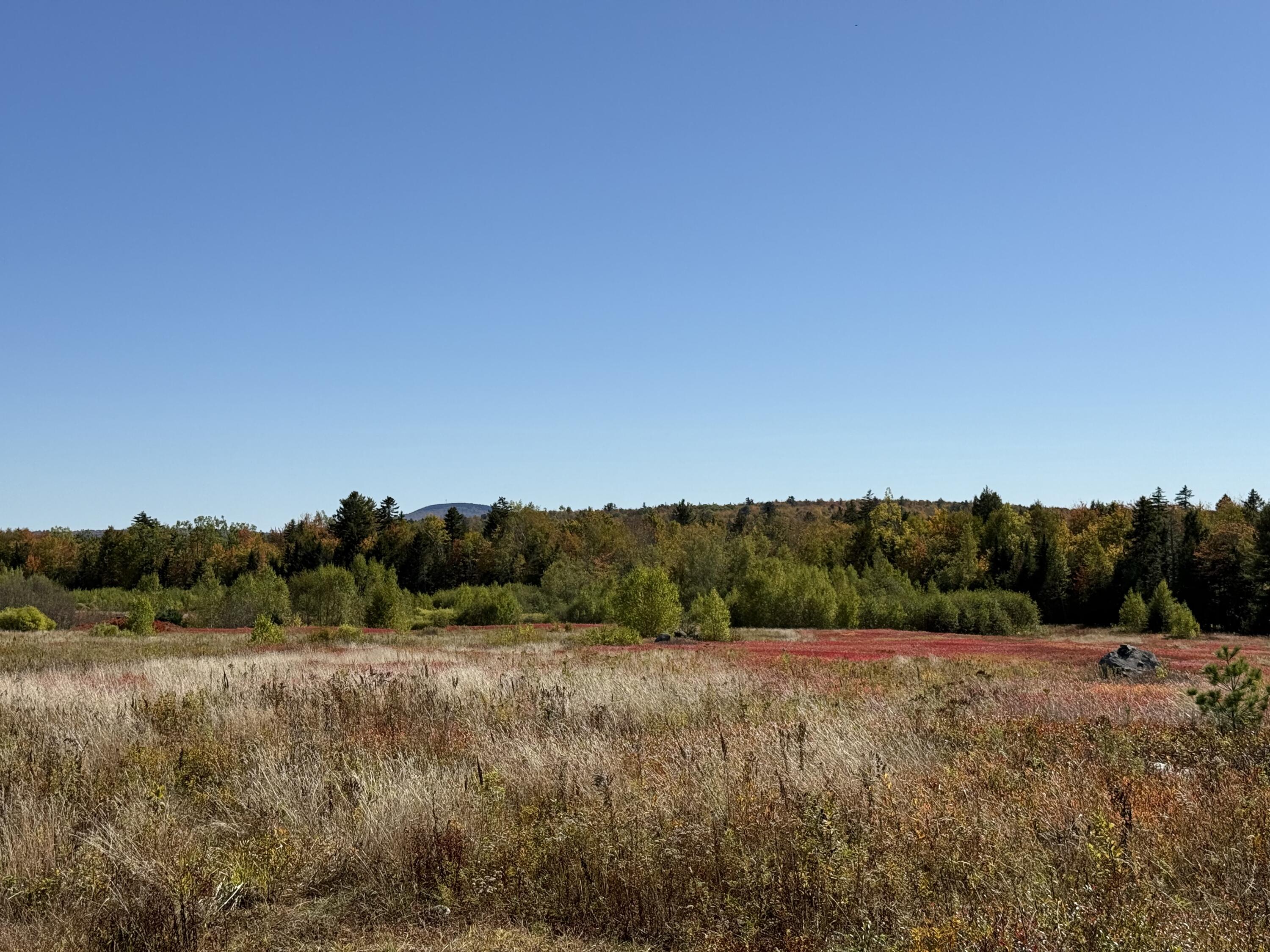Map19-lot28 Leach Road Penobscot, ME 04476 - Photo 17 of 21 MAP 19 LOT 28
