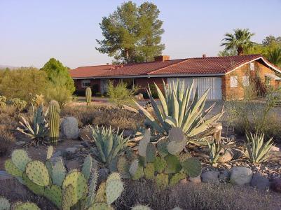 4410 North Pontatoc Road Tucson, AZ 85718 - Photo 1 of 2 Gallery Image 1