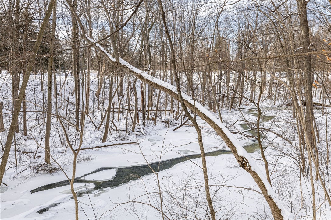 121 Hinkleyville Road Parma, NY 14559 - Photo 37 of 50