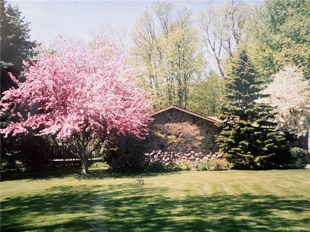 121 Hinkleyville Road Parma, NY 14559 - Photo 4 of 50 With no Snow!!