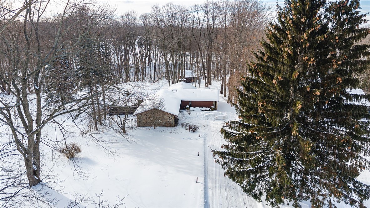 121 Hinkleyville Road Parma, NY 14559 - Photo 42 of 50