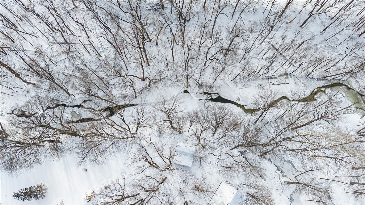 121 Hinkleyville Road Parma, NY 14559 - Photo 48 of 50