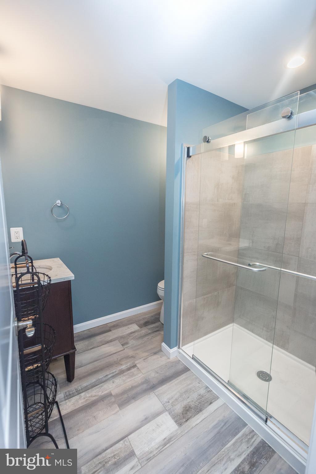 2005 Lyttonsville Road Silver Spring, MD 20910 - Photo 53 of 64 lower level bathroom