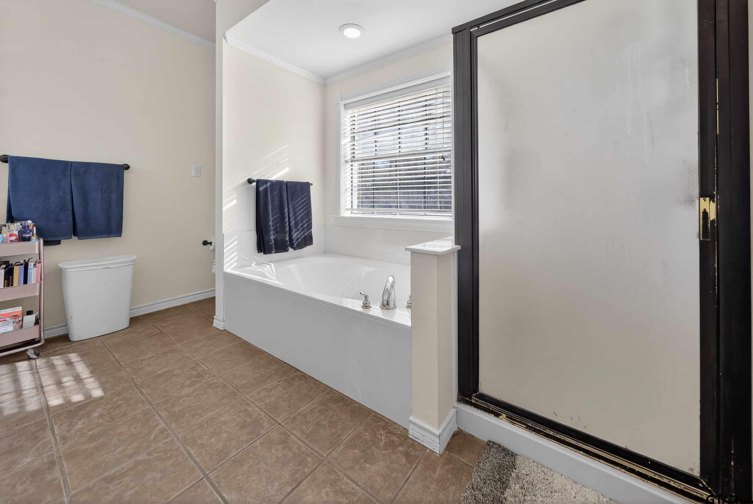 781 Highway 19 Edgewood, TX 75117 - Photo 34 of 48 a bathroom with a bathtub and a sink