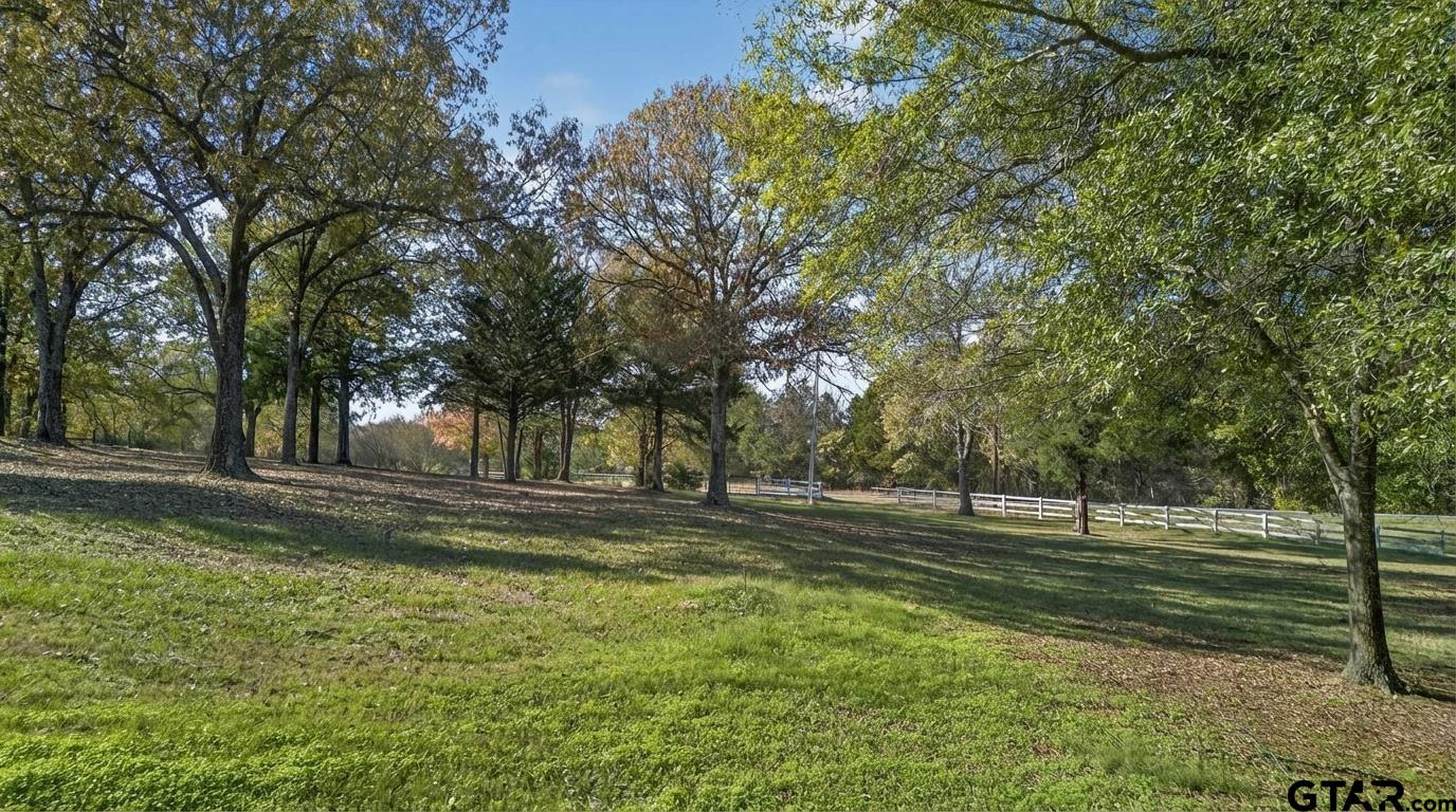 781 Highway 19 Edgewood, TX 75117 - Photo 45 of 48 a view of a park with large trees