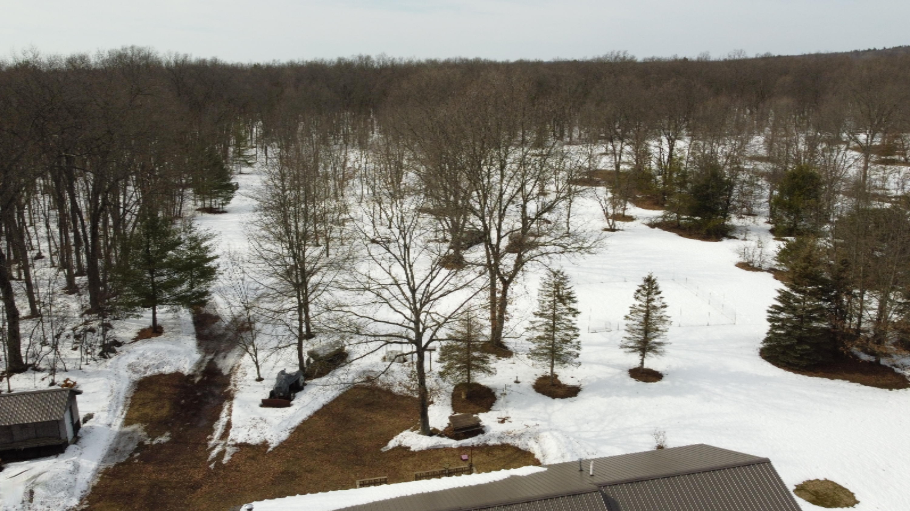 3020 Skidmore Road Brethren, MI 49619 - Photo 50 of 50 Photo_6554204_DJI_604_jpg_4217342_0_2021