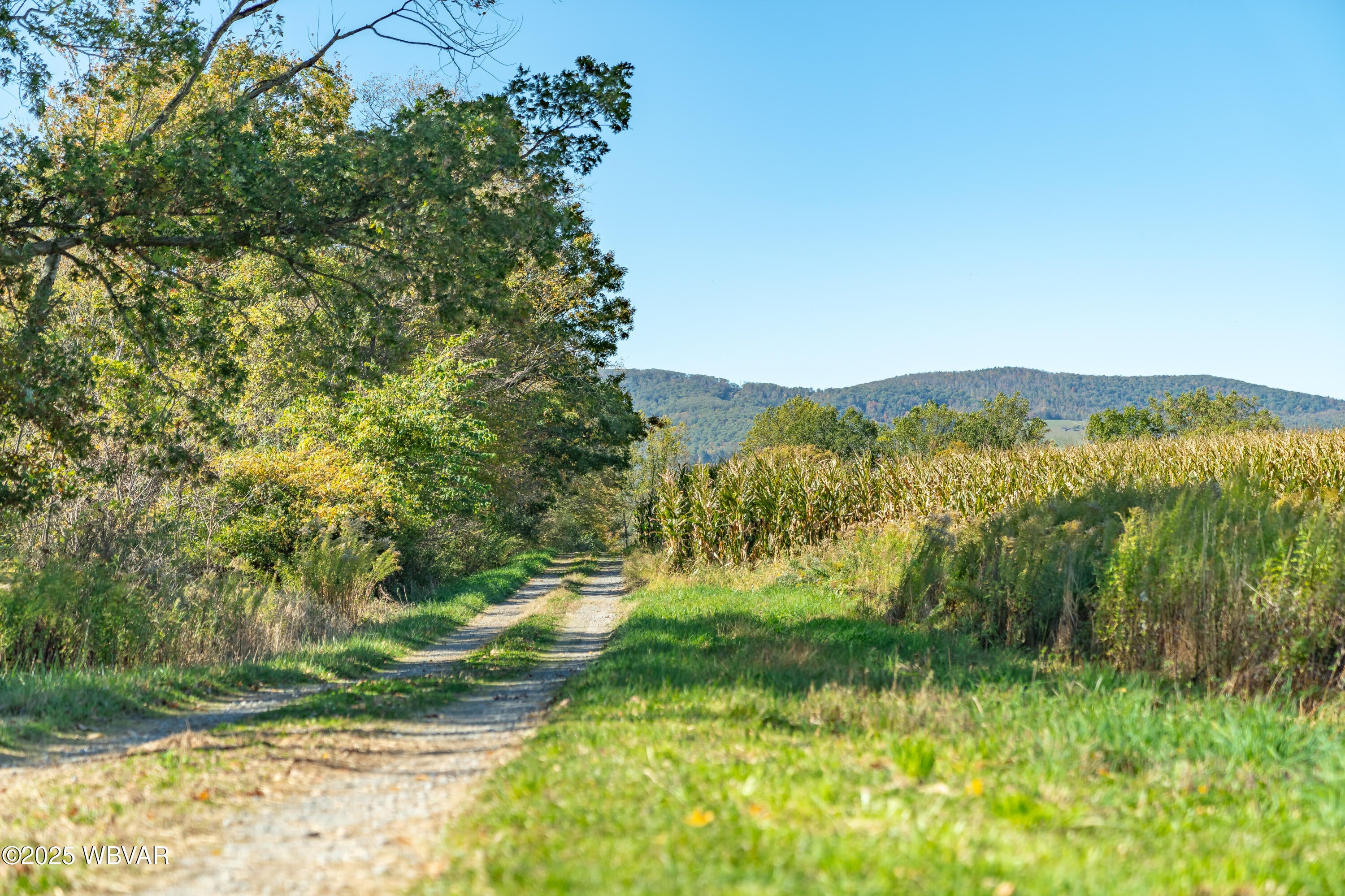 55 Margrow Road Tunkhannock, PA 18657 - Photo 42 of 65 edited Photo-444
