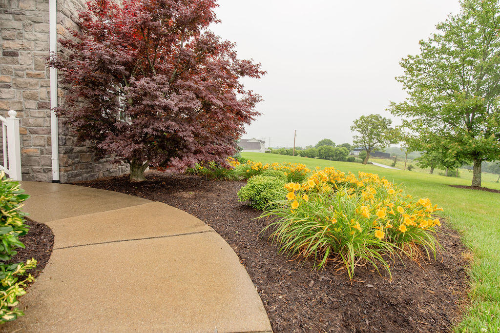 2875 High Bridge Road Wilmore, KY 40390 - Photo 5 of 109 IMG_0388copy