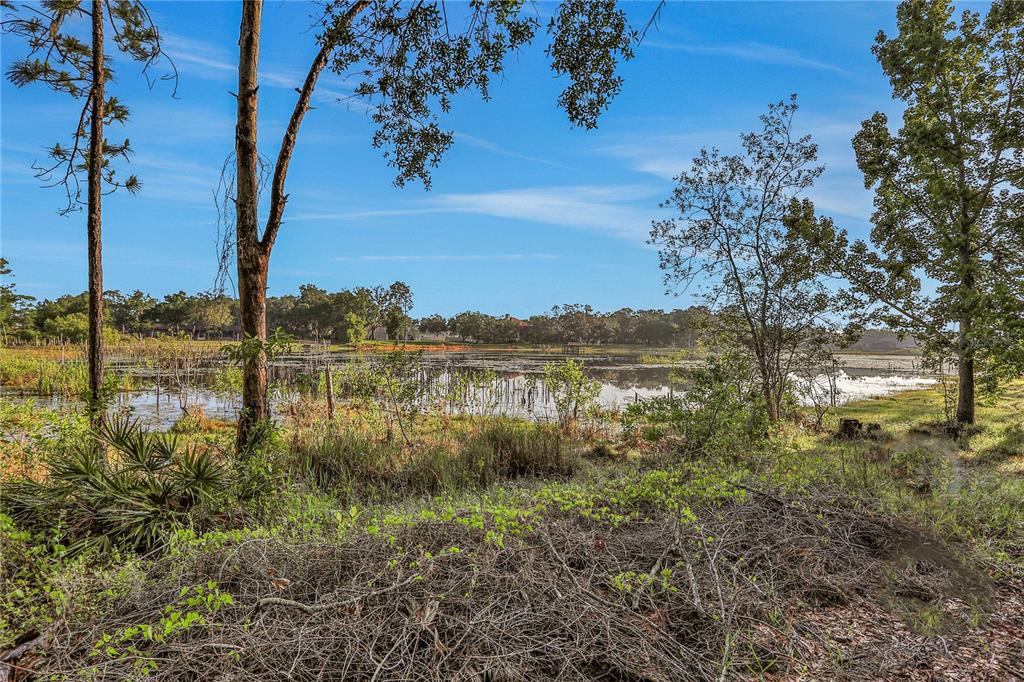 3490 Oak Knoll Point Lake Mary, FL 32746 - Photo 1 of 1