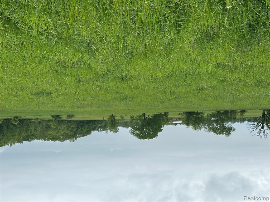 6 Cedar Lake Road Fowlerville, MI 48836 - Photo 5 of 6