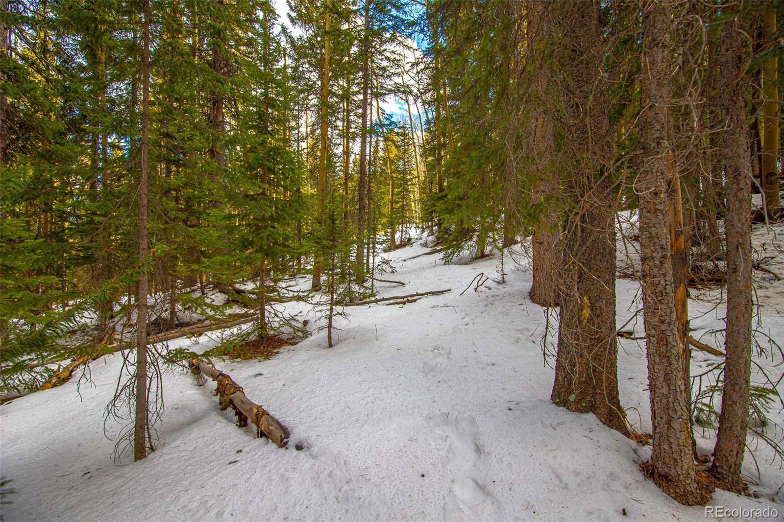1111 Wood Road Idaho Springs, CO 80452 - Photo 42 of 43 Gallery Image 42
