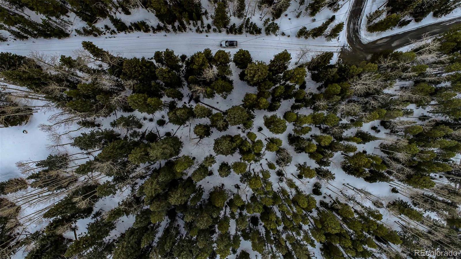 1111 Wood Road Idaho Springs, CO 80452 - Photo 7 of 43 Gallery Image 7