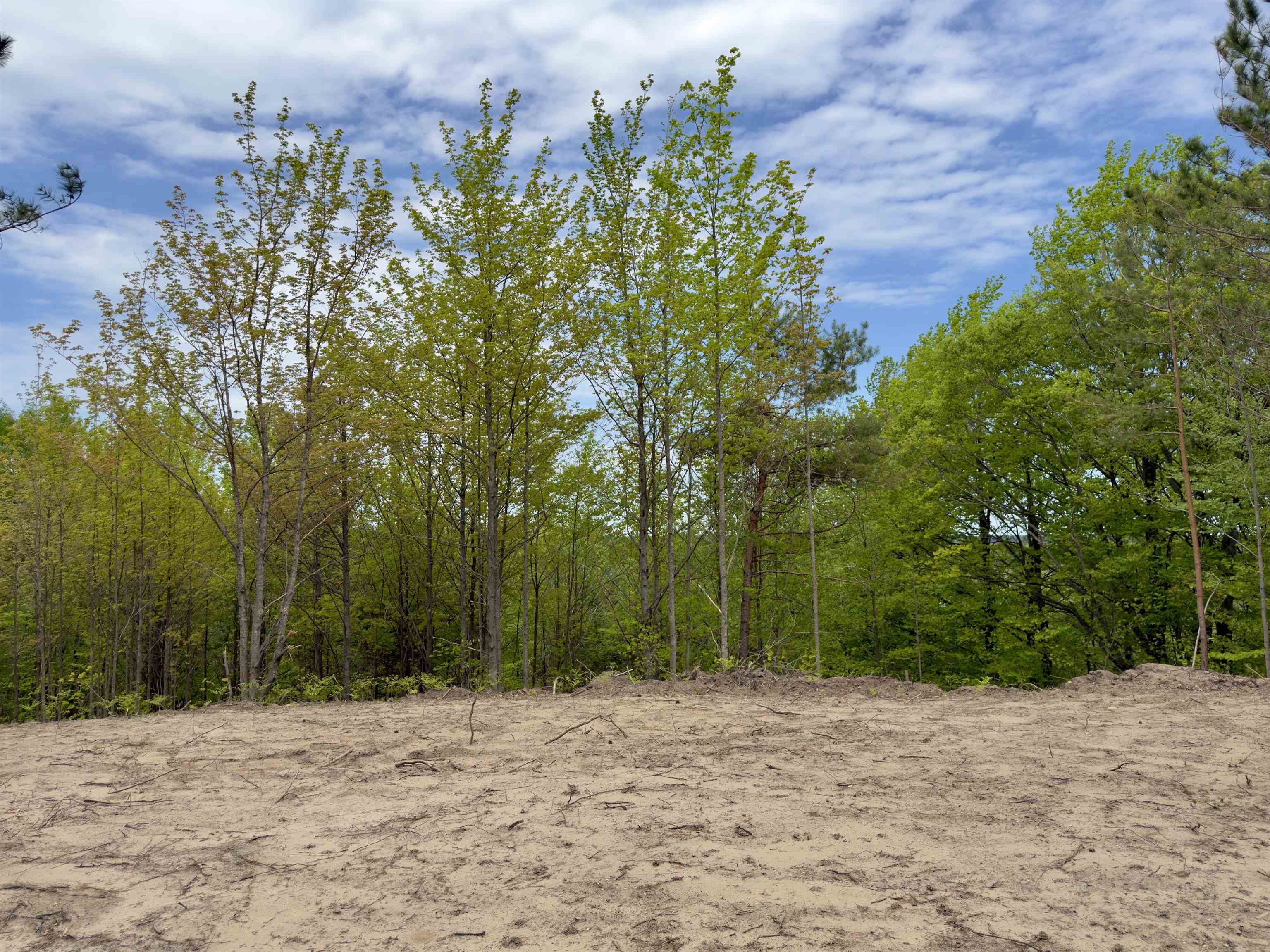 3779 Scholl Road Mancelona, MI 49659 - Photo 9 of 16