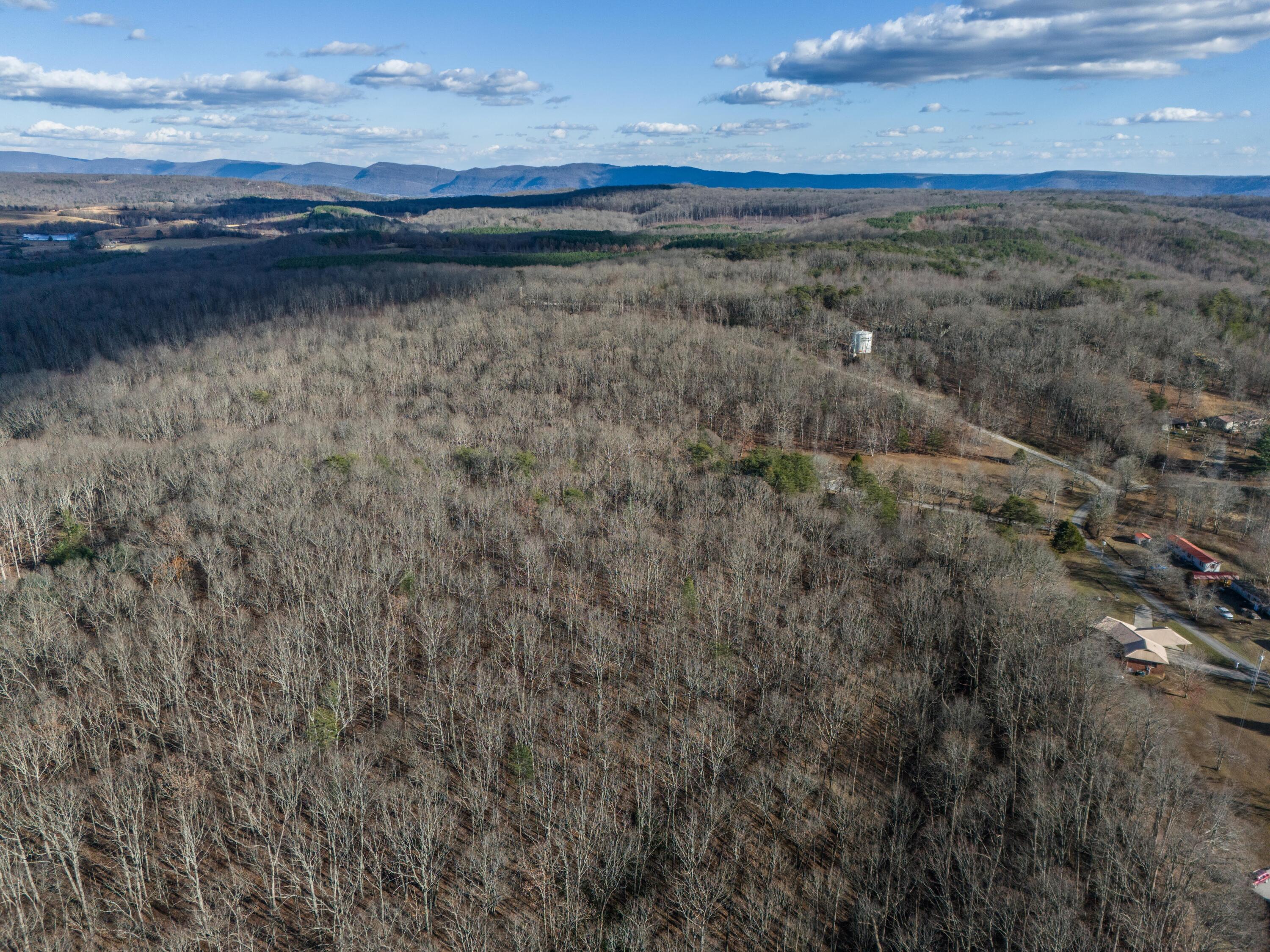 335 Milo Hale Road Pikeville, TN 37367 - Photo 44 of 55 DJI_20231204140935_0143_D