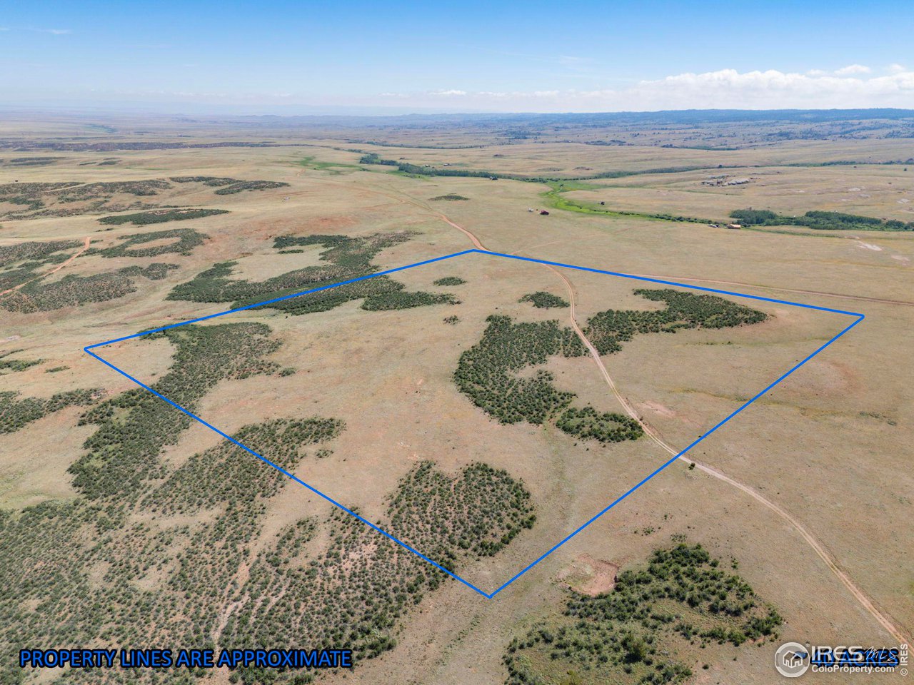 Gently Rolling Landscape Provides Unlimited Options