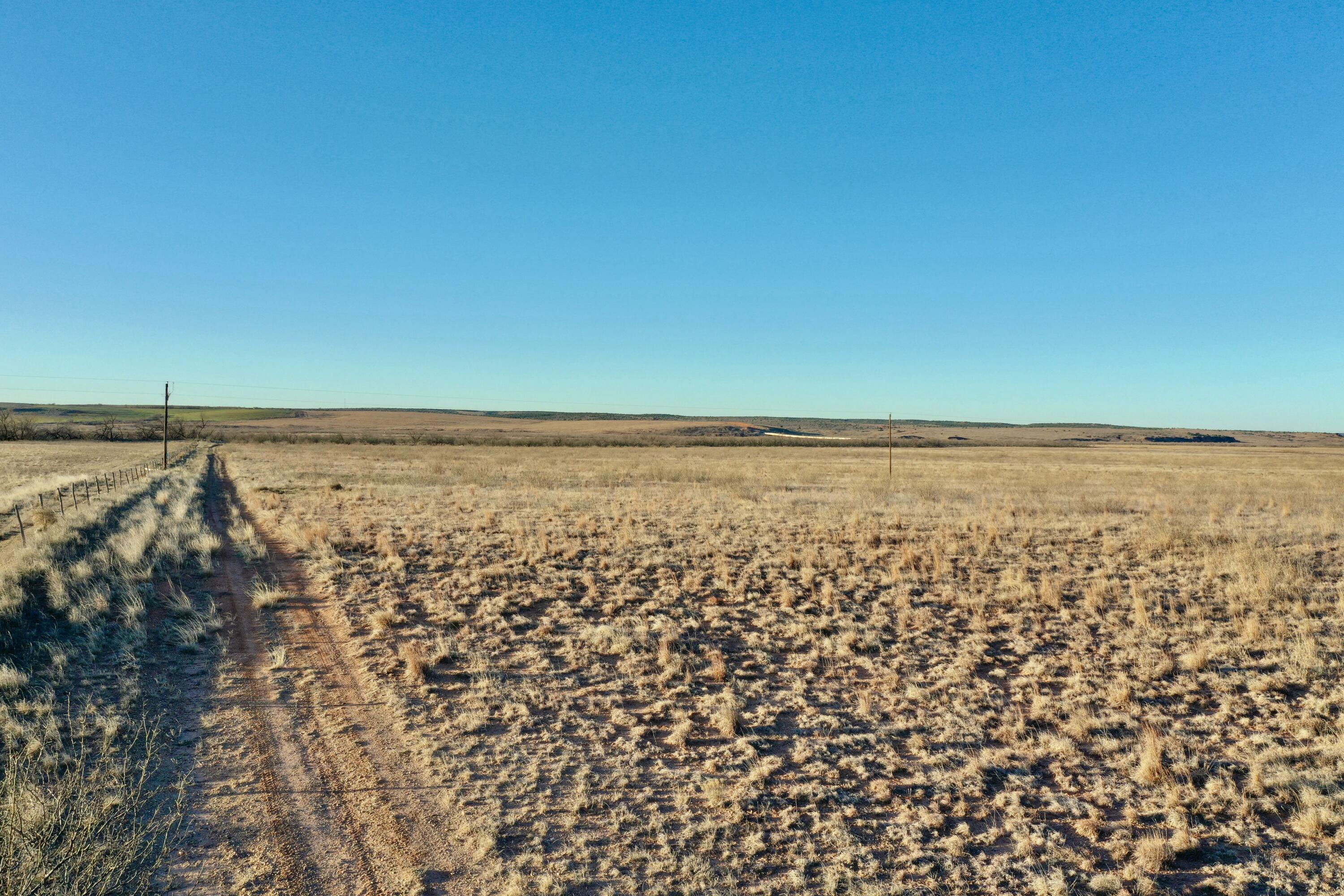 Fm657 Lakeview, TX 79239 - Photo 12 of 57 tempImageLAf8Oq