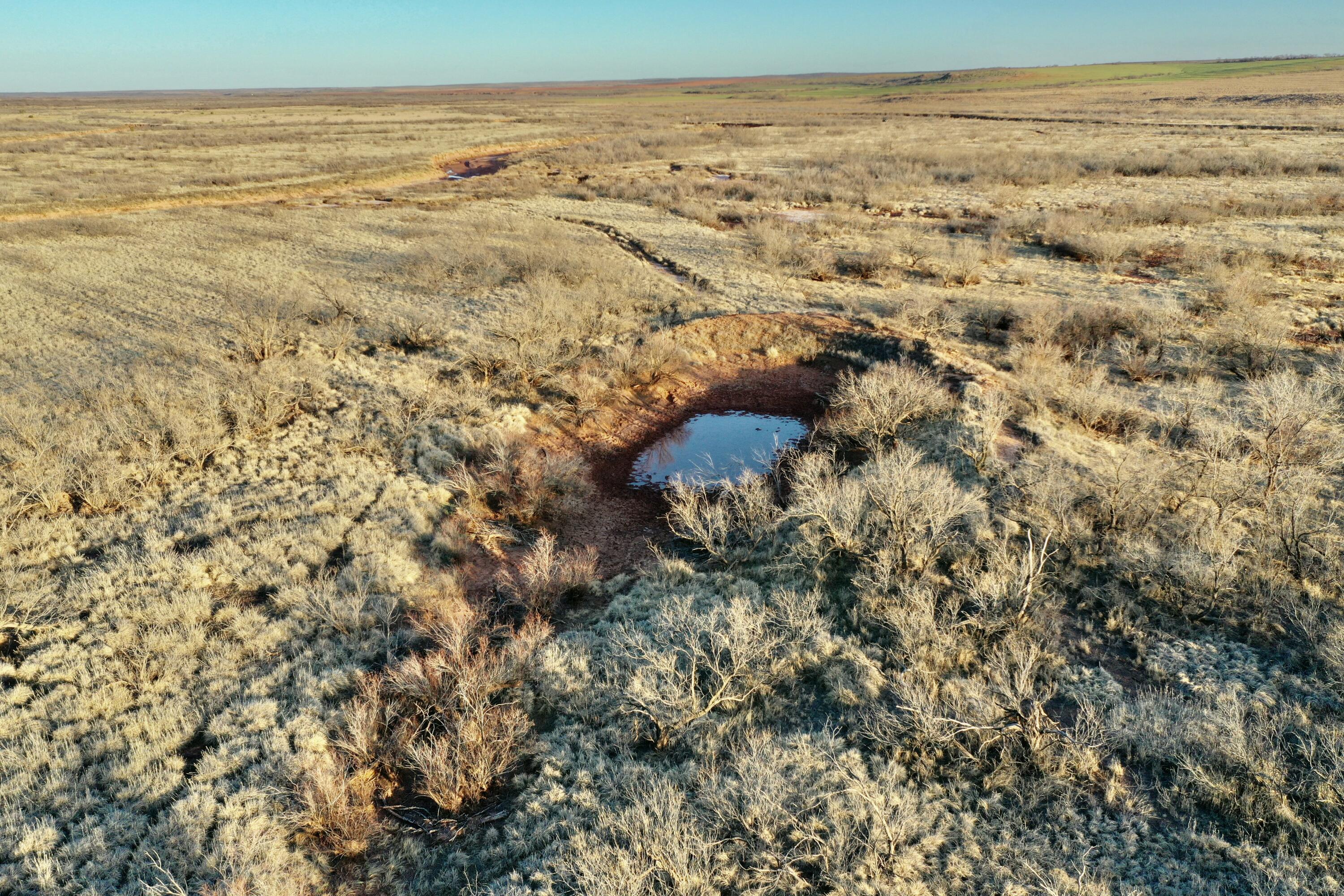 Fm657 Lakeview, TX 79239 - Photo 18 of 57 tempImage47R9xh