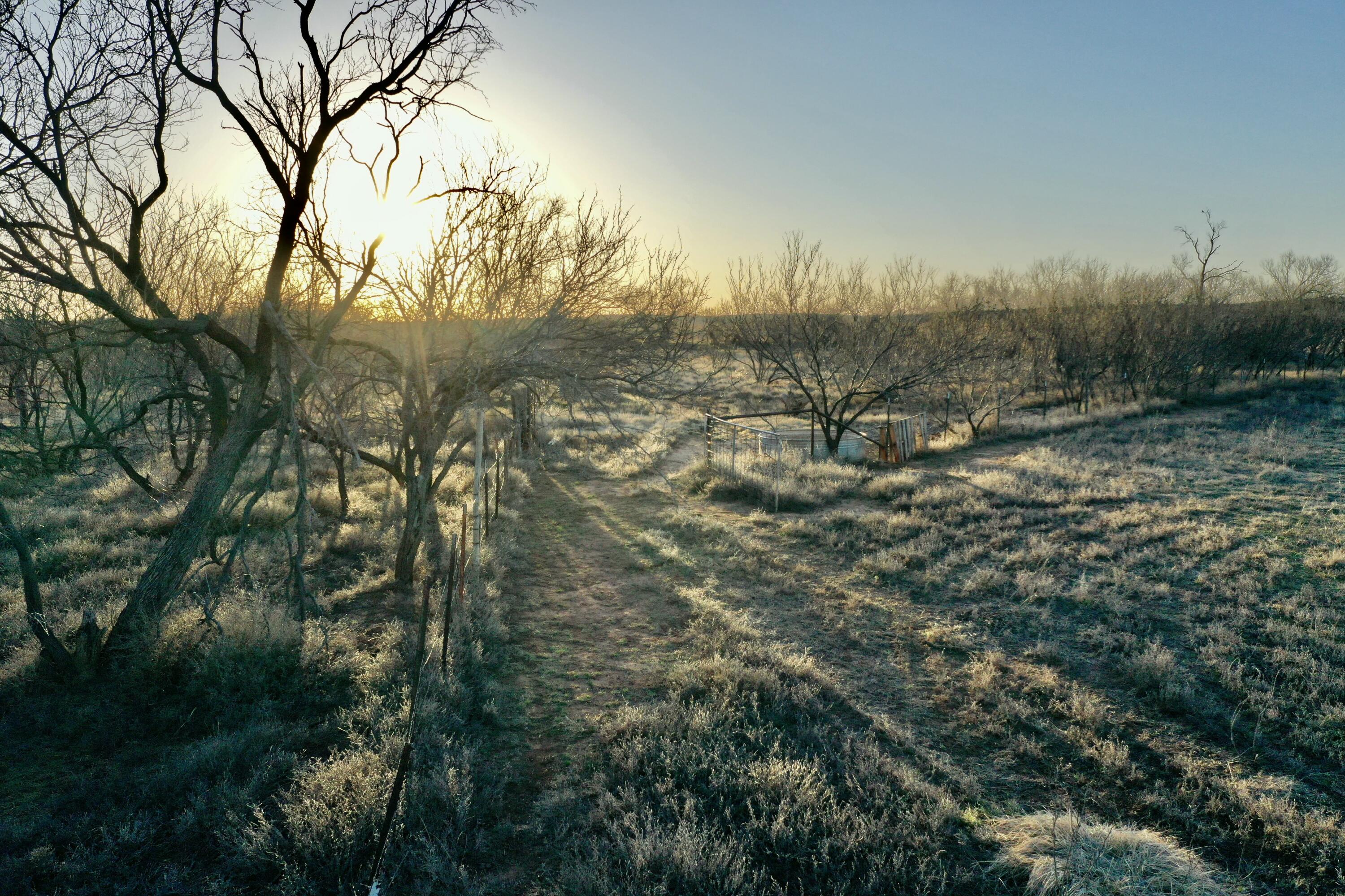 Fm657 Lakeview, TX 79239 - Photo 19 of 57 tempImageQuNHIU