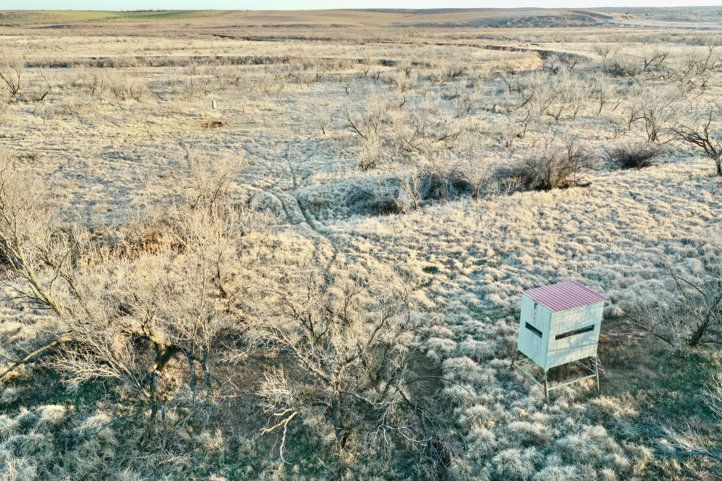 Fm657 Lakeview, TX 79239 - Photo 20 of 57 tempImageb0mgJF