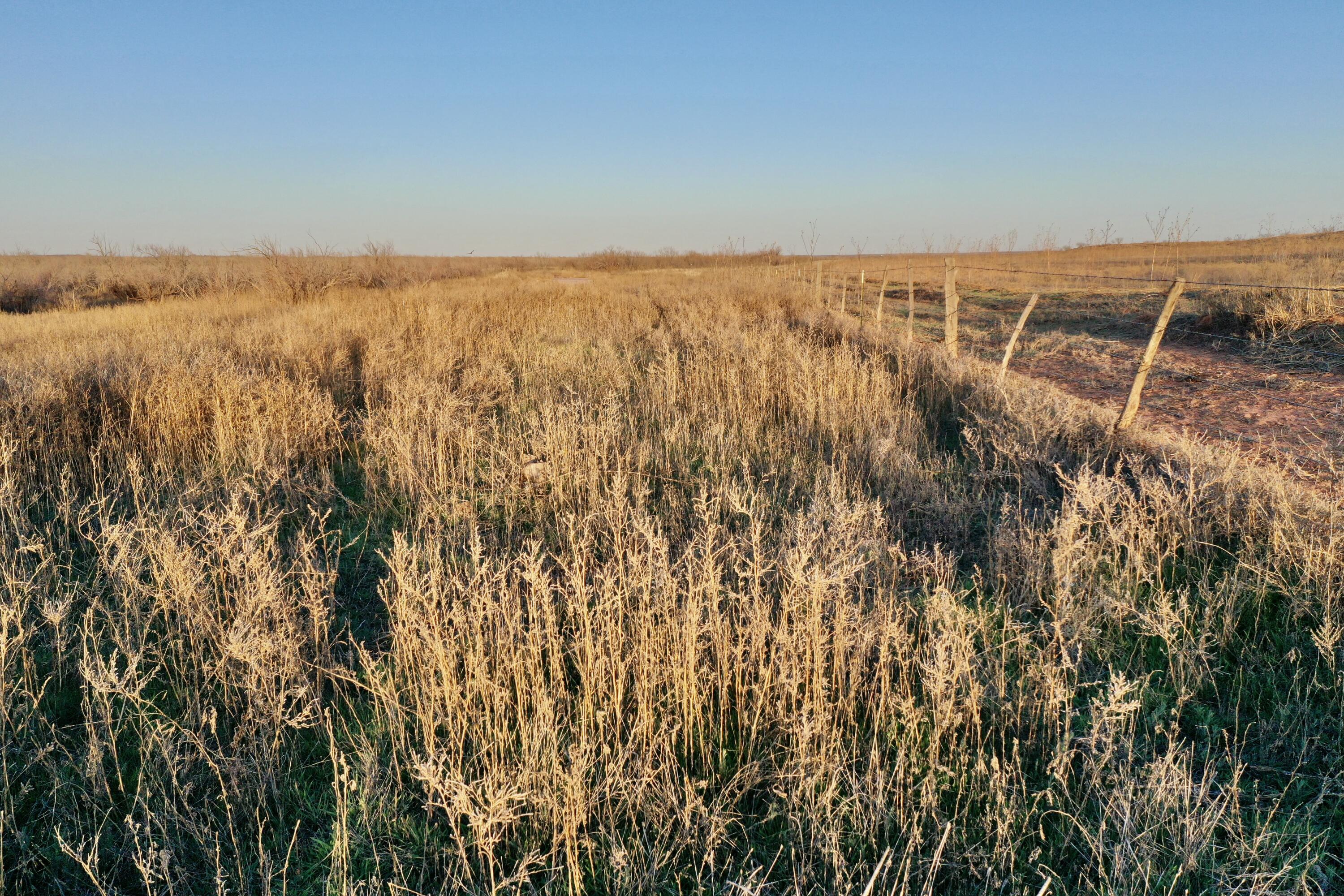 Fm657 Lakeview, TX 79239 - Photo 23 of 57 tempImagexTdx66