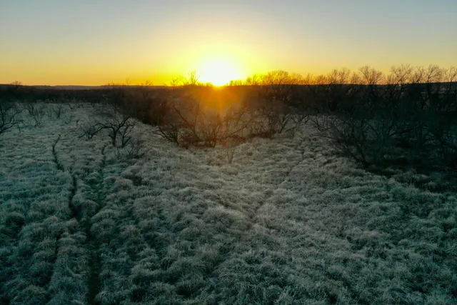 $475,824 | Fm657, Lakeview, TX 79239