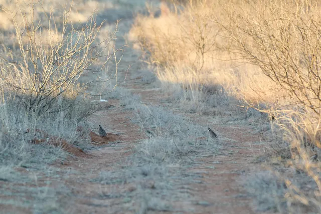 $475,824 | Fm657, Lakeview, TX 79239