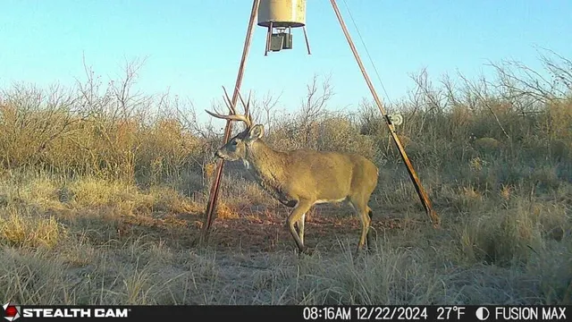 $475,824 | Fm657, Lakeview, TX 79239