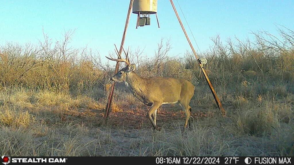 Fm657 Lakeview, TX 79239 - Photo 40 of 57 tempImageC3RBLH