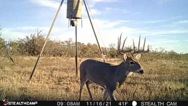 $475,824 | Fm657, Lakeview, TX 79239