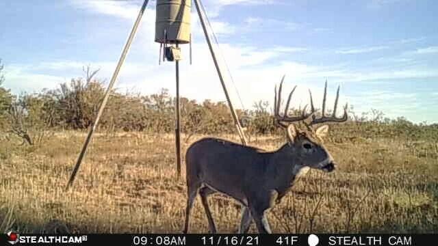 Fm657 Lakeview, TX 79239 - Photo 42 of 57 tempImageI6wtvM