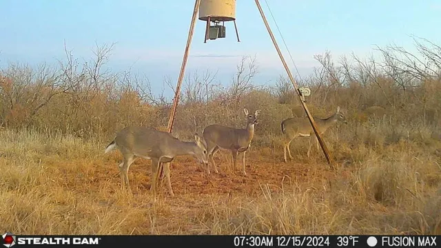 $475,824 | Fm657, Lakeview, TX 79239