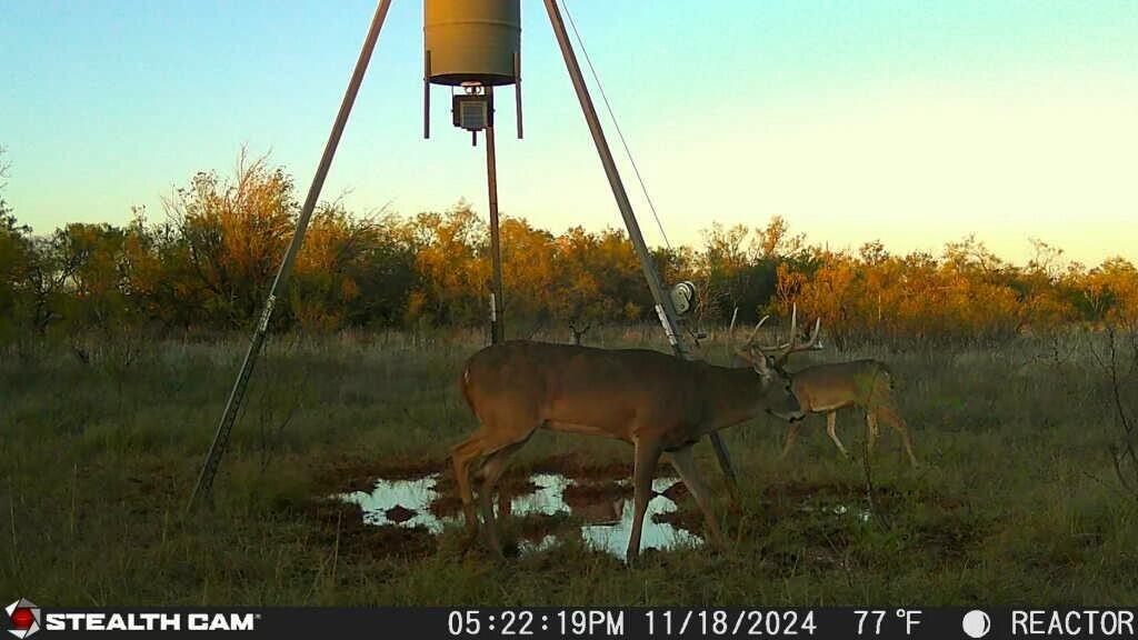 Fm657 Lakeview, TX 79239 - Photo 44 of 57 tempImageaWNeDt
